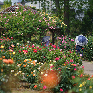 茨城縣花卉公園